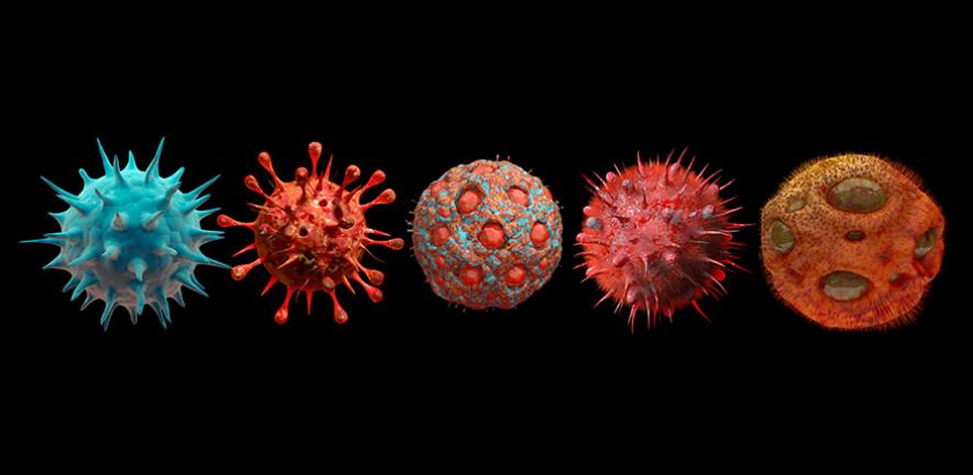 Digital generated image of different variants of virus cells against a black background.