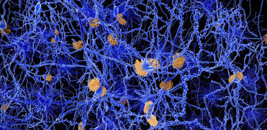 AI-driven techniques reveal new targets for drug discovery