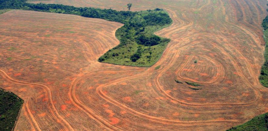 An area of the Amazon rainforest cleared for soya production