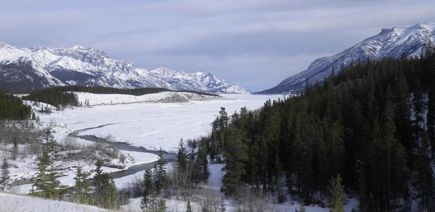 The fieldwork was conducted during the winter because the frozen lake surface provided the researchers with a solid (but freezing) platform for drilling into the sediment