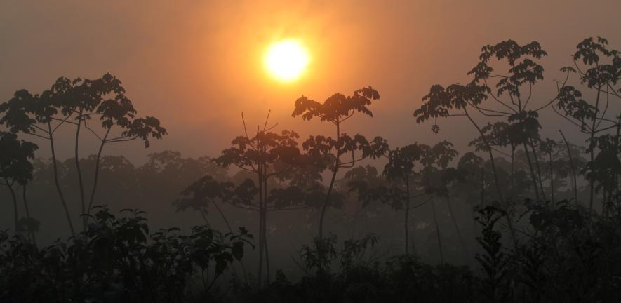 Rainforest on the south-eastern edge of Amazonia, Brazil