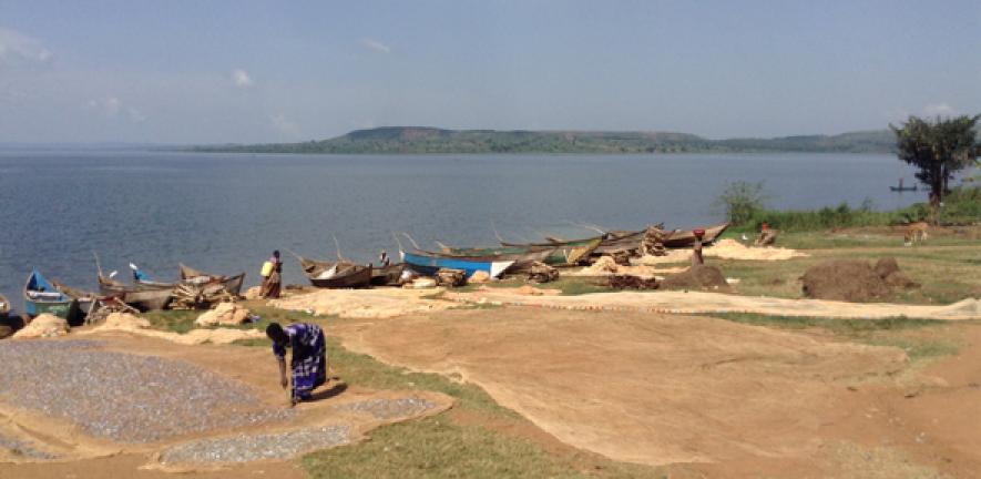 A fishing village along Lake Victoria in the Mayuge District of Uganda, close to where researchers gathered data for the latest study.