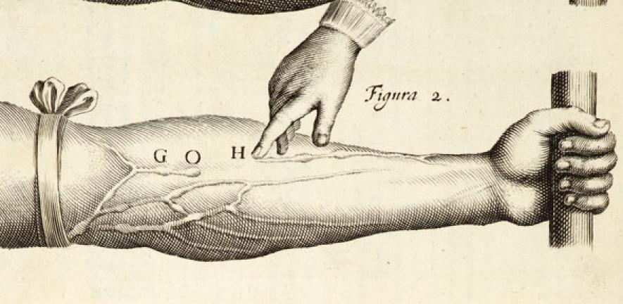 Detail from William Harvey's De motu cordis (experiment confirming direction of blood flow)