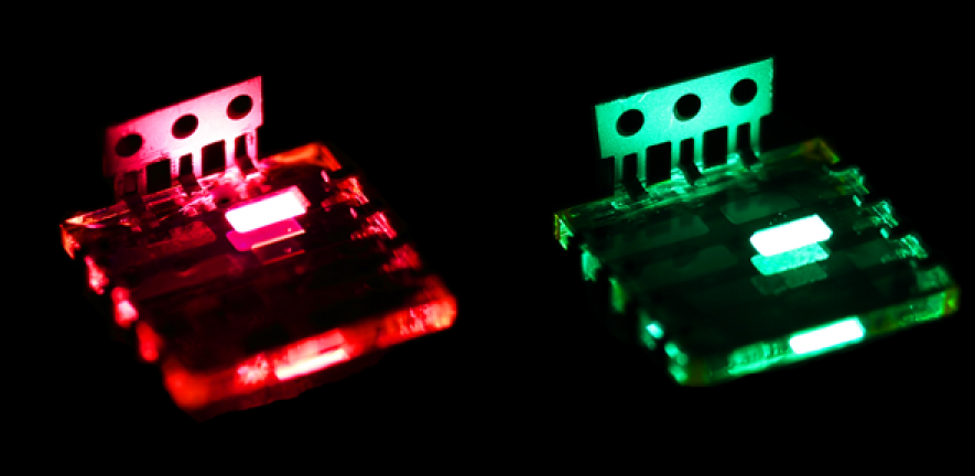 LEDs made from perovskite