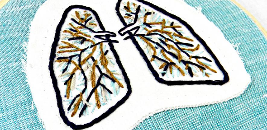 Blue and Brown Anatomical Lung Wall Decor. Hand Embroidery Applique by Hey Paul Studios