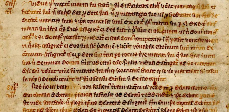 Detail from the 14th-century copy of Magna Carta at St John’s College