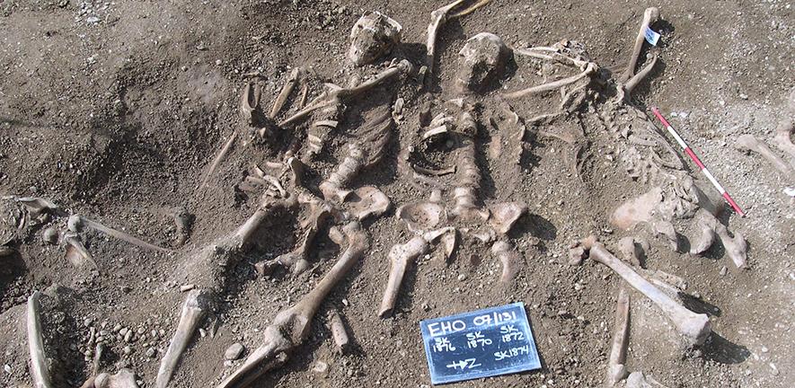 Massacred 10th century Vikings found in a mass grave at St John’s College, Oxford
