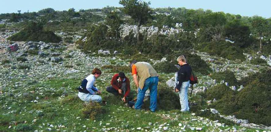 Plant collecting in Kephalonia 