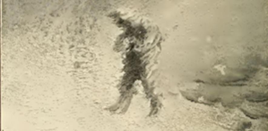 Detail from ‘Lost on the Ice Caps’ by Albert Operdi