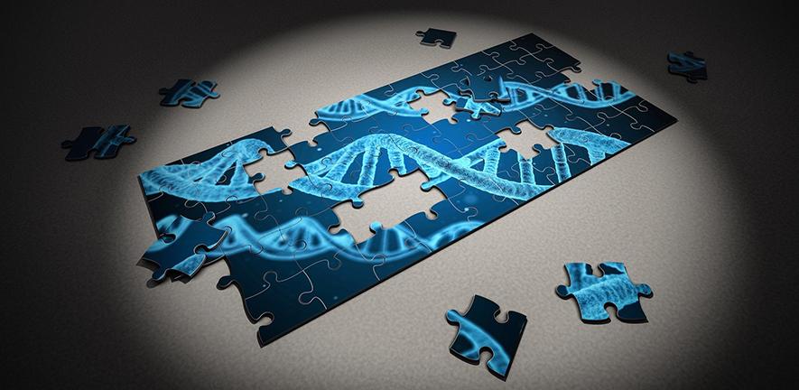 DNA jigsaw