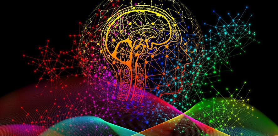 Colourful illustration of human brain