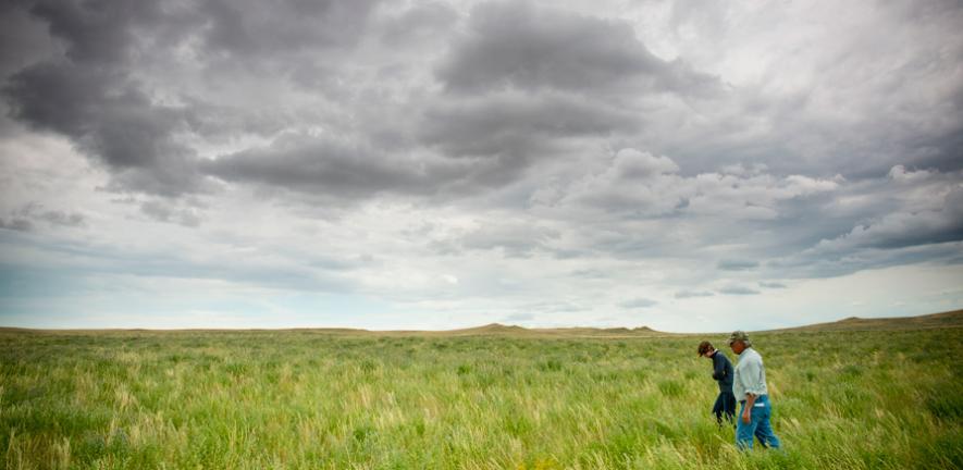 A farmer with a conservationist in Montana, USA