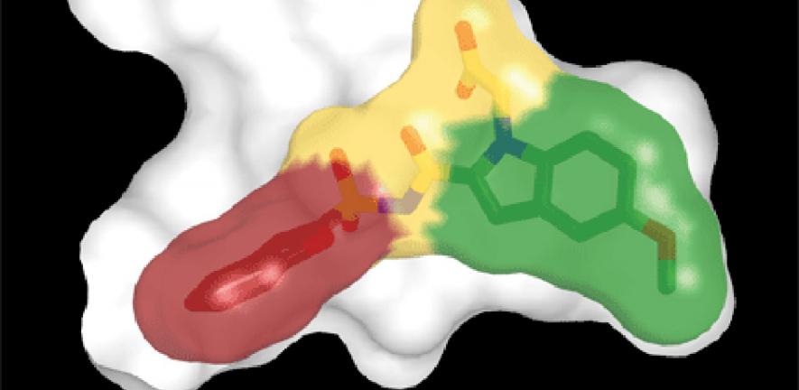 Small Is Beautiful In Drug Discovery University Of Cambridge