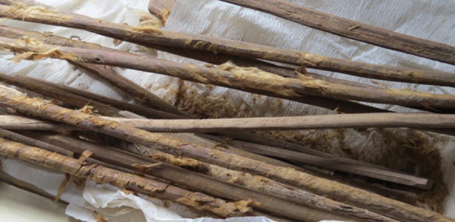 2,000-year-old personal hygiene sticks with remains of cloth, excavated from the latrine at Xuanquanzhi