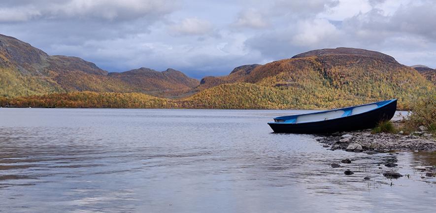 Natural Clean-Up: Bacteria Can Remove Plastic Pollution from Lakes