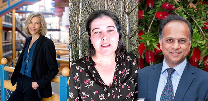 Jennifer Howard-Grenville, Elisabete A Silva and Bhaskar Vira.