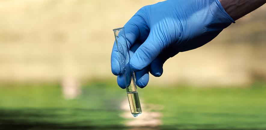 Water sample in test tube