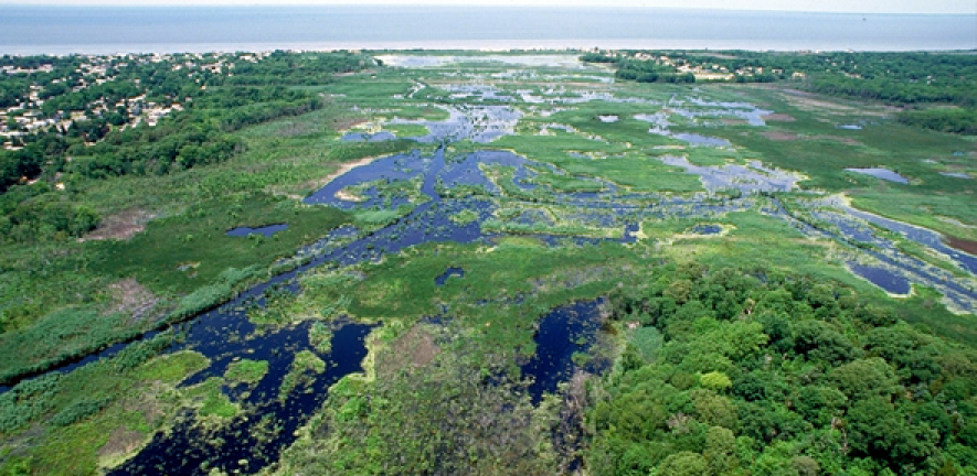 Wetlands in Cape May, New Jersey, USA