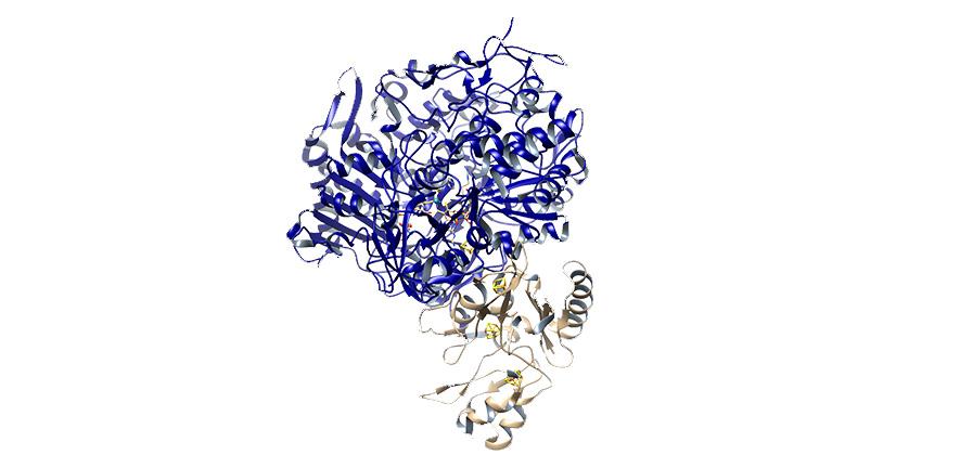 Computer generated image of enzyme