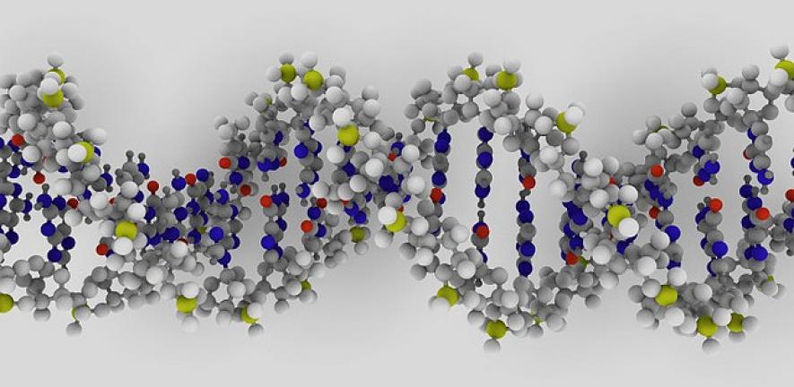 DNA rendering