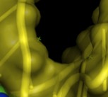 Structure of the biotin RNA aptamer (yellow) complexed with biotin - created with pymol using PBD entry 1F27