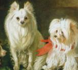 A toy spaniel, a Pomeranian and a Maltese terrier at a basket – Oil on Canvas by Johann Friedrich Wilhelm Wegener 1855