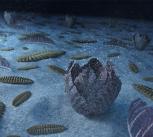 Artistic recreation of the marine animal forest