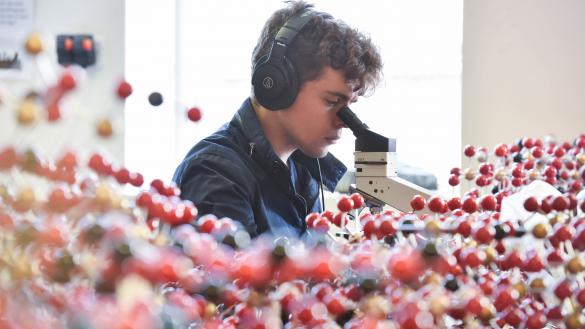 A student looking through a microscope