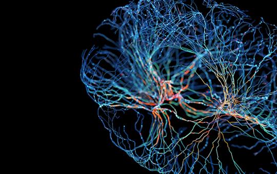 System of neurons with glowing connections on black background