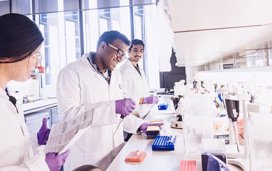 Cancer researchers in the laboratory