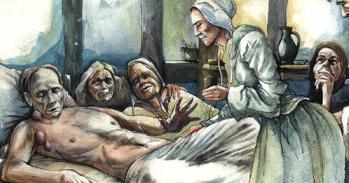 Scientists raid DNA to explore Vikings' genetic roots