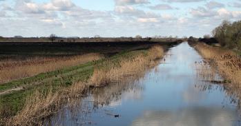 River with black fen soil in background