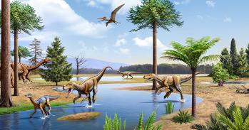 a new hypothesis of dinosaur relationships and early dinosaur evolution