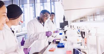 Cancer researchers in the laboratory
