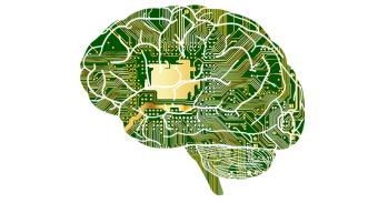 Graphic representing brain circuits