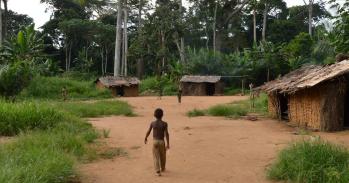 BaYaka camp in Congo. Image courtesy of Nikhil Chaudhary
