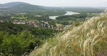 Devínska Kobyla Forest steppe in Slovakia