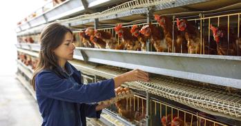 Portrait of young woman farmer holding fresh eggs in hands