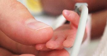 Mother is holding a tiny hand of her preterm baby that is in the NICU.