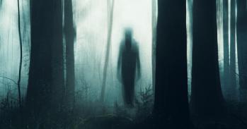 A ghostly figure silhouetted between trees in a forest.