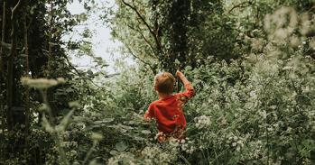 Young boy making his way through a dense forest of trees and cow parsley. He stands out in the green in his bright red jumper.