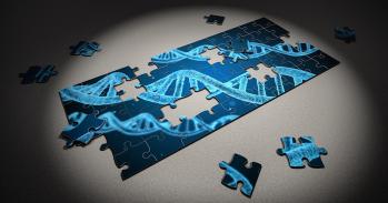 DNA jigsaw