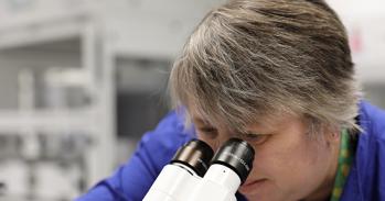 Scientist looking down microscope