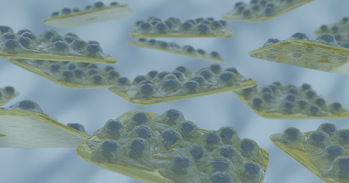 SemaCyte cell assaying platform