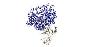 Computer generated image of enzyme