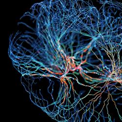 System of neurons with glowing connections on black background