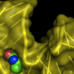 Structure of the biotin RNA aptamer (yellow) complexed with biotin - created with pymol using PBD entry 1F27