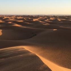 Sea of dunes