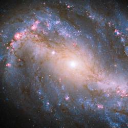 Barred Spiral Galaxy NGC 6217 