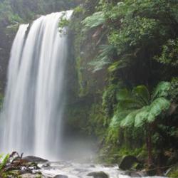 Hopetoun Falls, Beech Forest, near Otway National Park, Victoria, Australia.